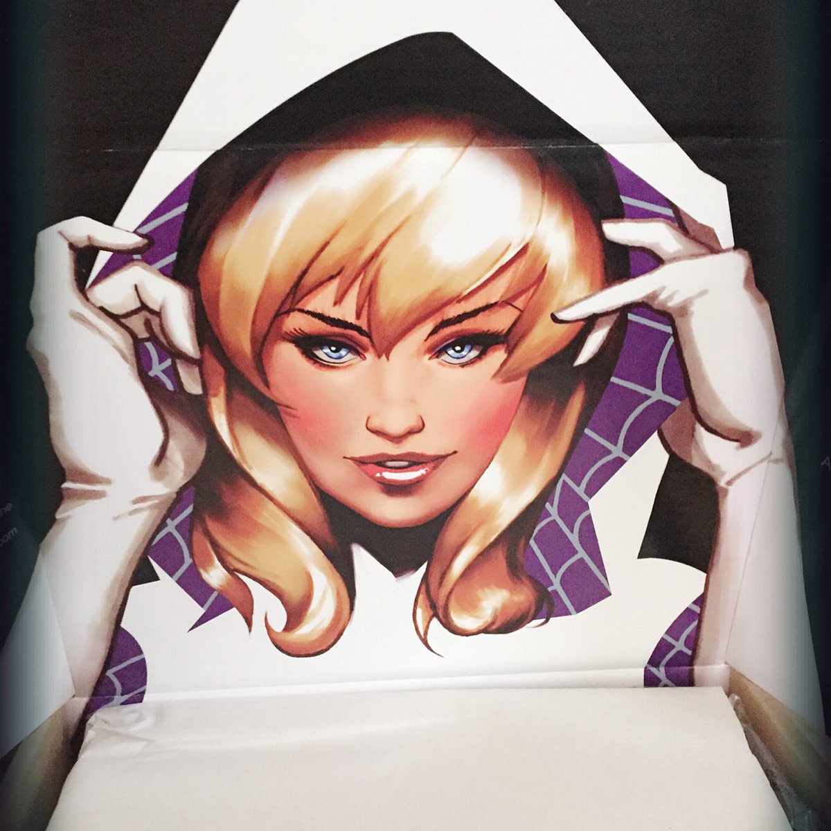 secretagentr's tweet photo. My #welovefine box is amazing #spidergwen #geekgirl #comics #timlim @welovefine https://t.co/GF3XJ0pc21