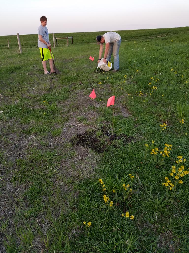 Butterfly_Byram's tweet image. Alexis recruited help to plant her tree. #treesforkids