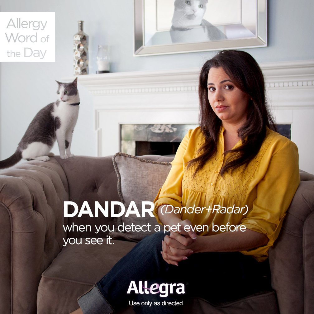 AllegraOTC's tweet photo. Can you use “dandar” in a sentence? https://t.co/p43oCTJc48
