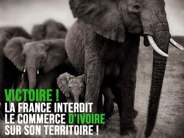 Vers un autre Monde tweet media