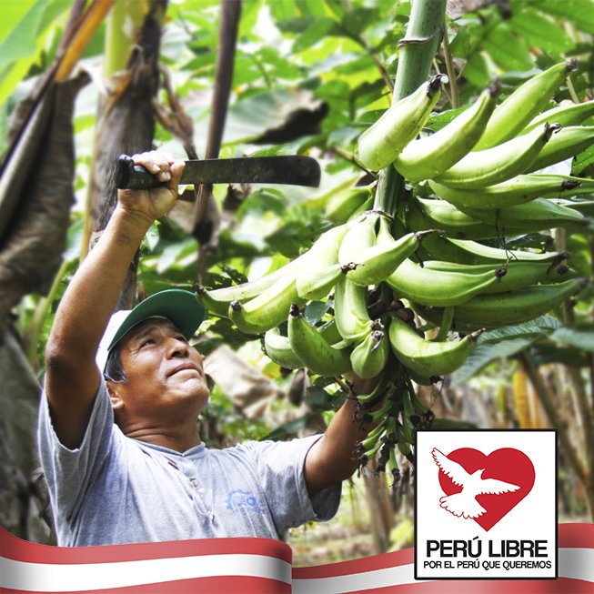 PerLibre2's tweet image. Sería favorable tener un asesoramiento
para mejores cosechas.