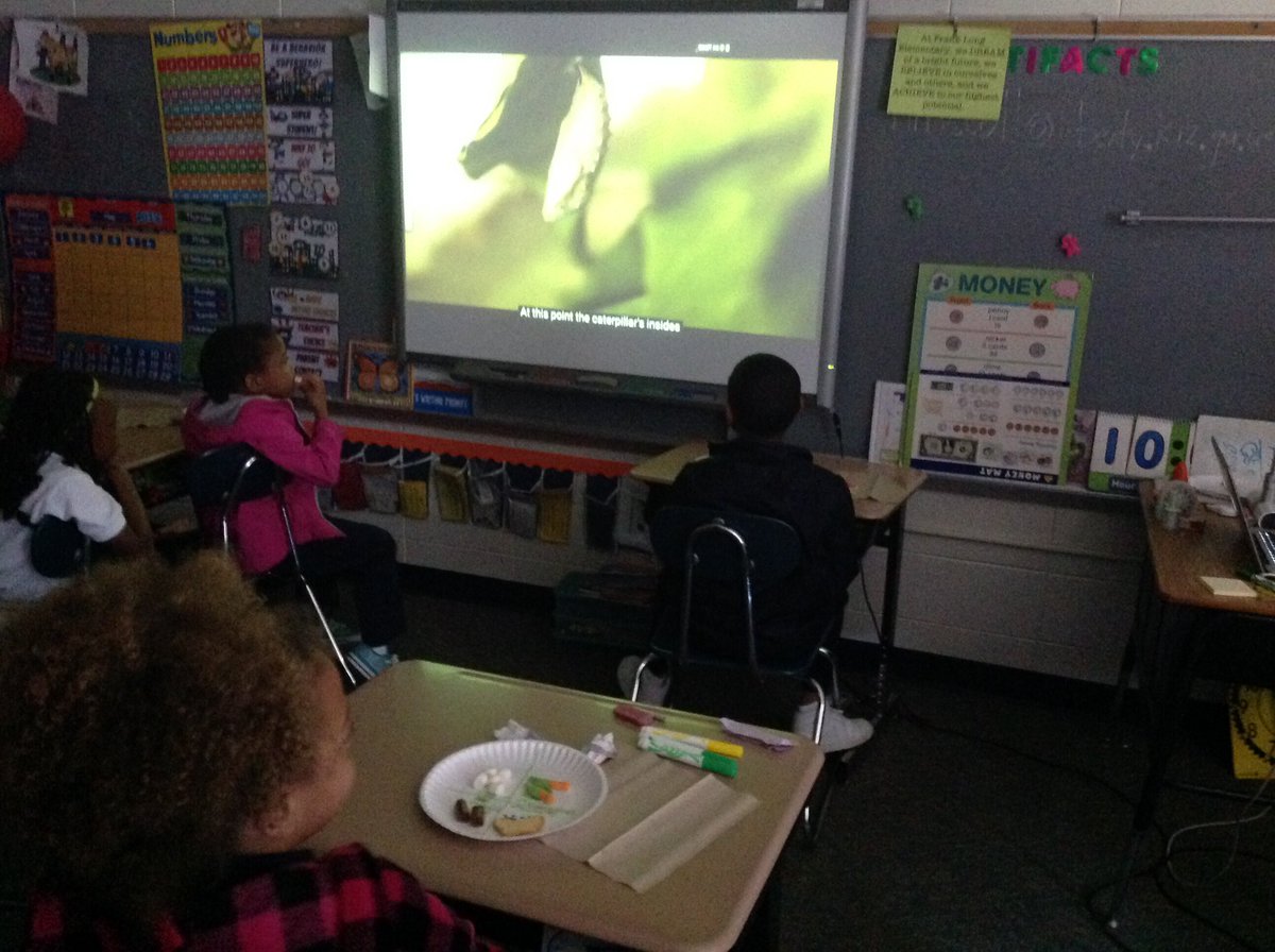 mccall_heidi's tweet photo. Students had great fun with creating their butterfly life cycle #GASTEMDay https://t.co/v356vhk3w4