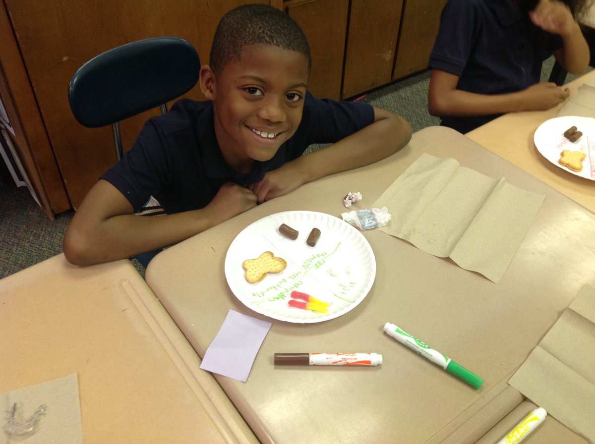 mccall_heidi's tweet photo. Students had great fun with creating their butterfly life cycle #GASTEMDay https://t.co/v356vhk3w4