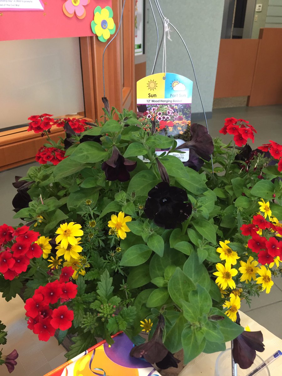 Win one of two fabulous Baskets #MothersDay #JerichoPlace <a href="/Carinalawtd/">Carina Law</a> @CSirovyak_TD