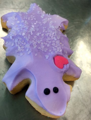PizzaSnobTCU's tweet photo. Look what Jill Marks baked from scratch honoring TCU Grads! Vanilla Bean Frogs available tomorrow! #theygoquick #yum https://t.co/Cg9wwVdA1E