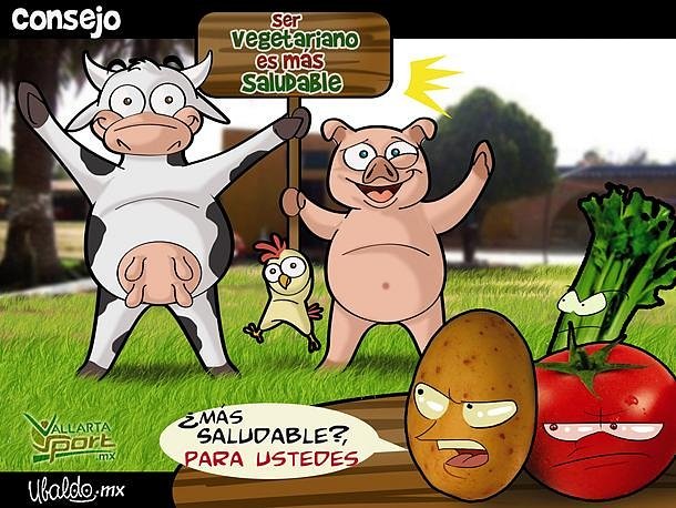 Veganitass's tweet photo. Como último dia de la jornada laboral, un poco de humor par empezar el finde!! #vegan #vegetarian https://t.co/9BCHzookyj