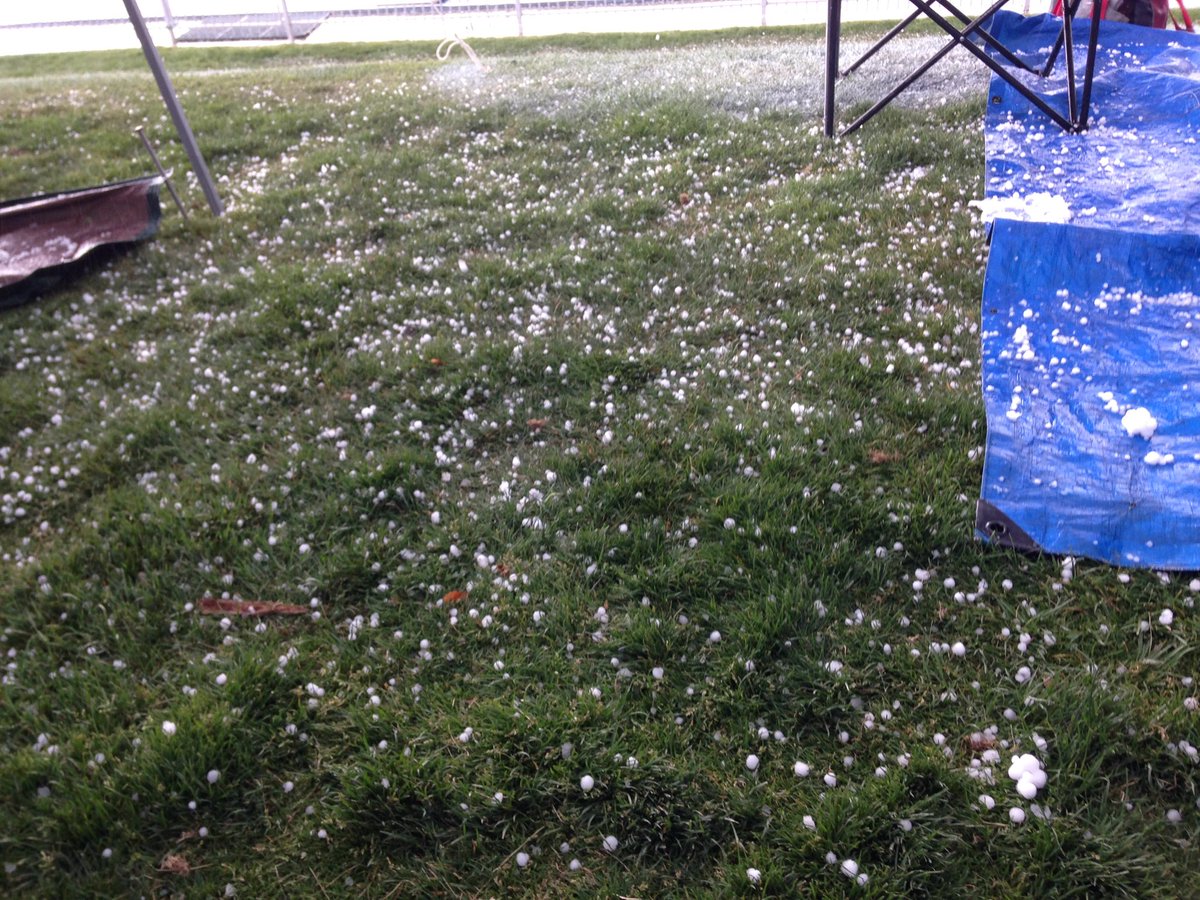 coach_tmitchell's tweet photo. Hailing hard right now at the #BYUInvite #olytrack https://t.co/KC9Q5YRCzn
