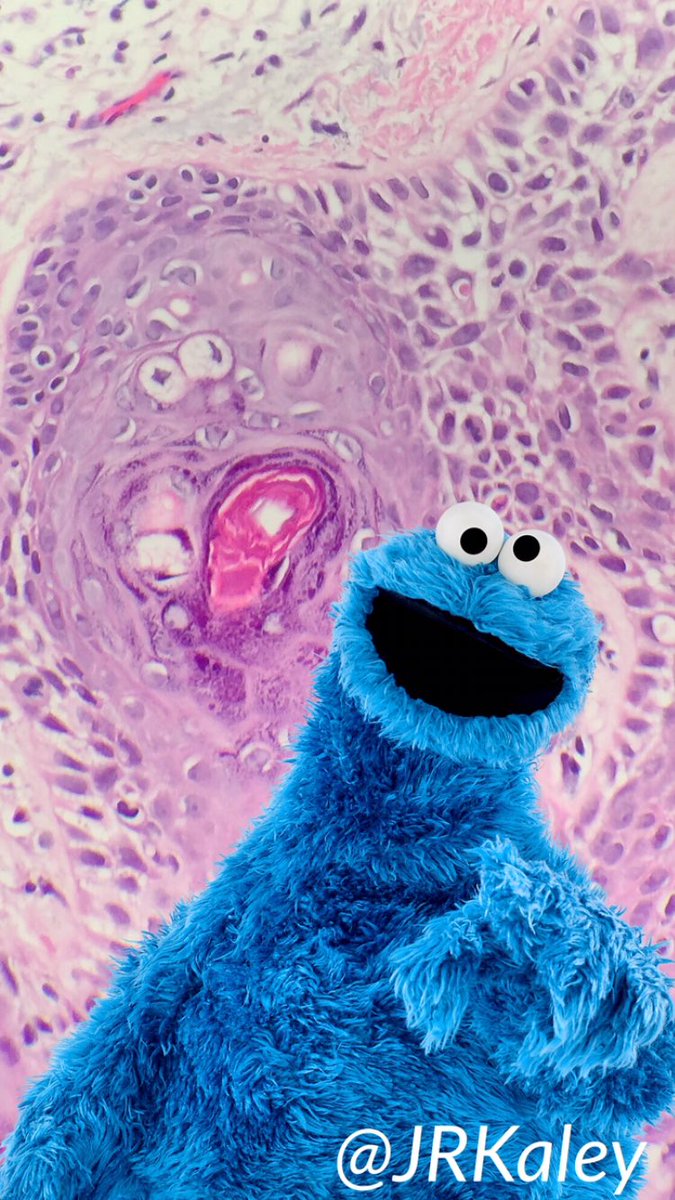 Jennifer Kaley tweet media