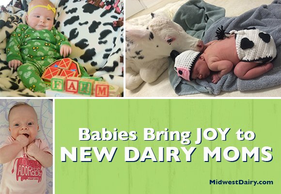 CindyIsaBAMF's tweet photo. •What does it mean to be a #dairymom? @MidwestDairy farmers reflect for #MothersDay https://t.co/SBVTsg5U2A https://t.co/vV8gTBPFqX