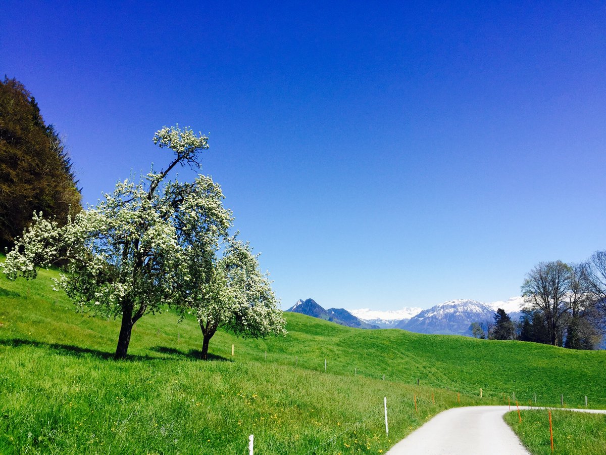 firstlimo's tweet image. It is our pleasure to organize sight-seeing excursions or romantic trip for you!