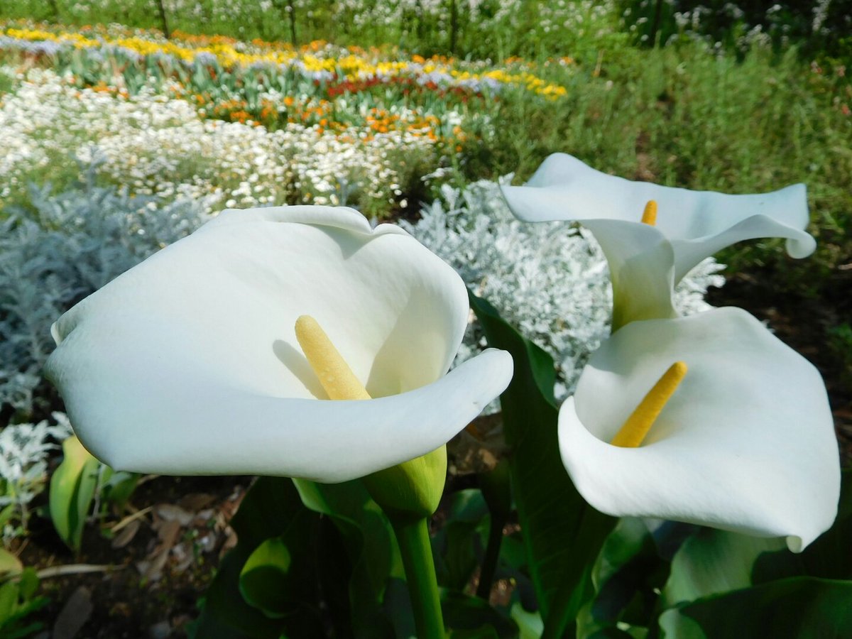 Download Desktop Wallpaper Free Wallpaper For iPhone