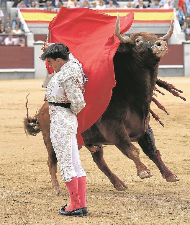 Próximo sorteo pipotero.
Muleta con la que actuará Gonzalo Caballero <a href="/GonzaloGCab/">Gonzalo Caballero</a> en San Isidro.
Retwitea.