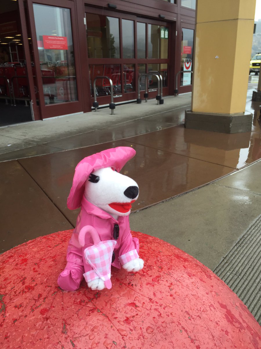T_2252andYOU's tweet photo. Lady Bullseye and T2252 are ready for the rain are you? #californiaweatherready #targetready https://t.co/4g1oDNapYj