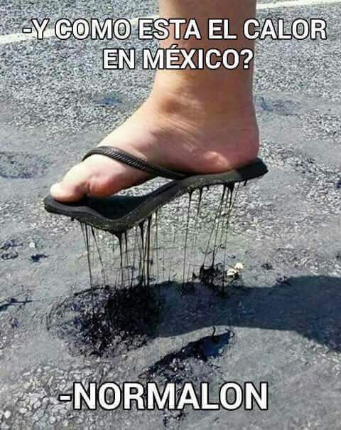 informamon's tweet image. ¿Y a ustedes cómo les va con el calor amigos?