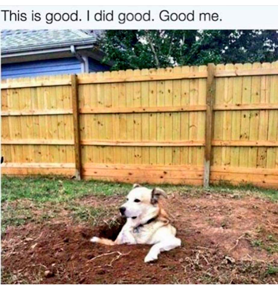 Hillside43050's tweet photo. Warm weather in the forecast this weekend! Get out and enjoy! #yardwork #holedigging #baddogs #TGIF https://t.co/LDrFCz3oB9