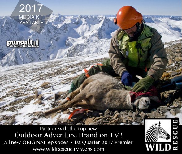 Wild Rescue on Twitter: 