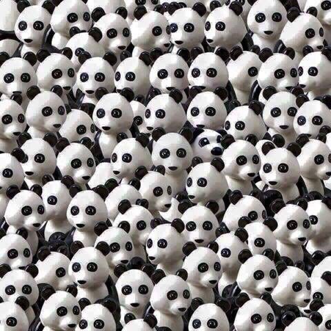 soypacoanaya's tweet photo. RT cuando encuentres al perro. https://t.co/xkp7W4owIy