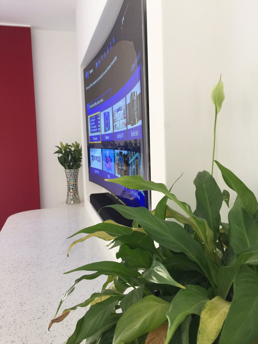 harbourautomate's tweet image. We love curves. #reflectiveav