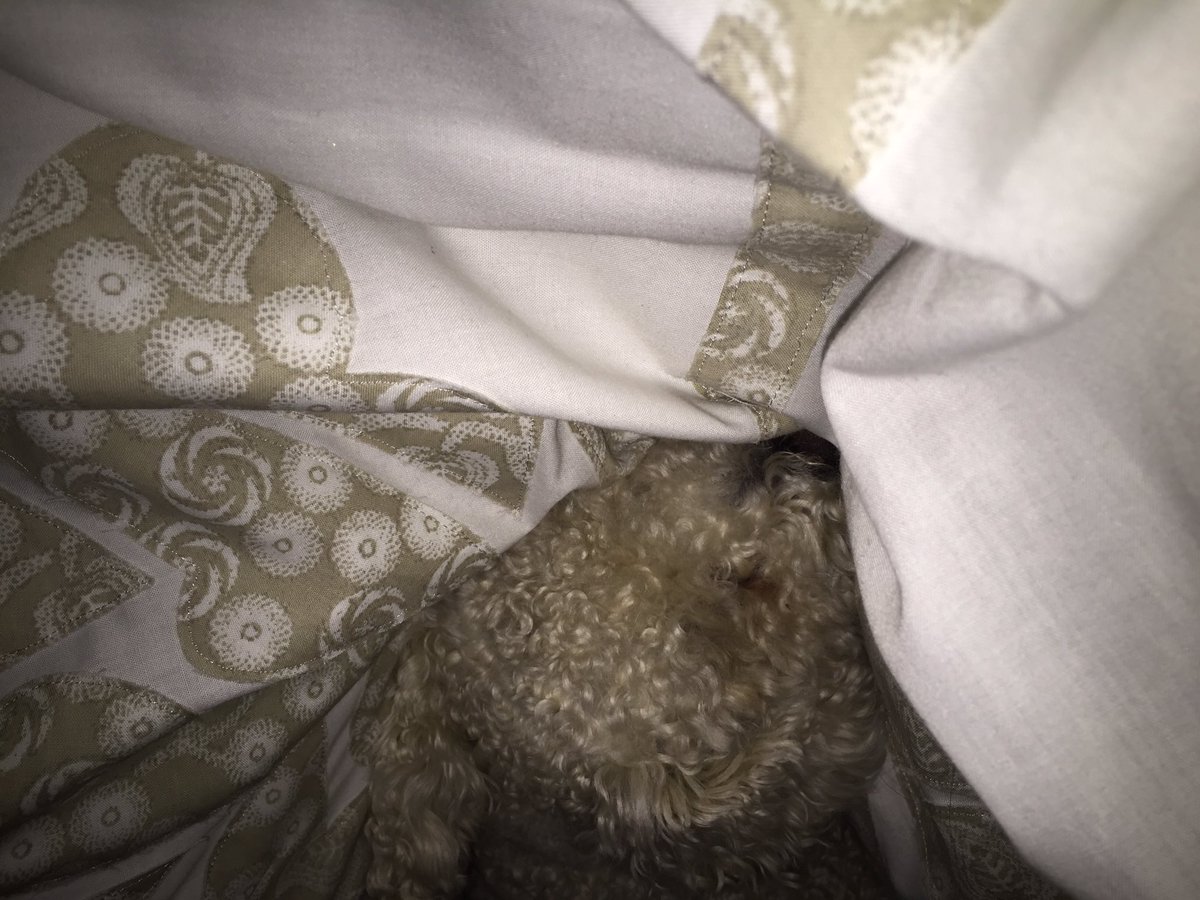 GeorgeHobin's tweet photo. Not the first time she's slept with a dawg! @Kevperks67 https://t.co/ILtm6p1k6A