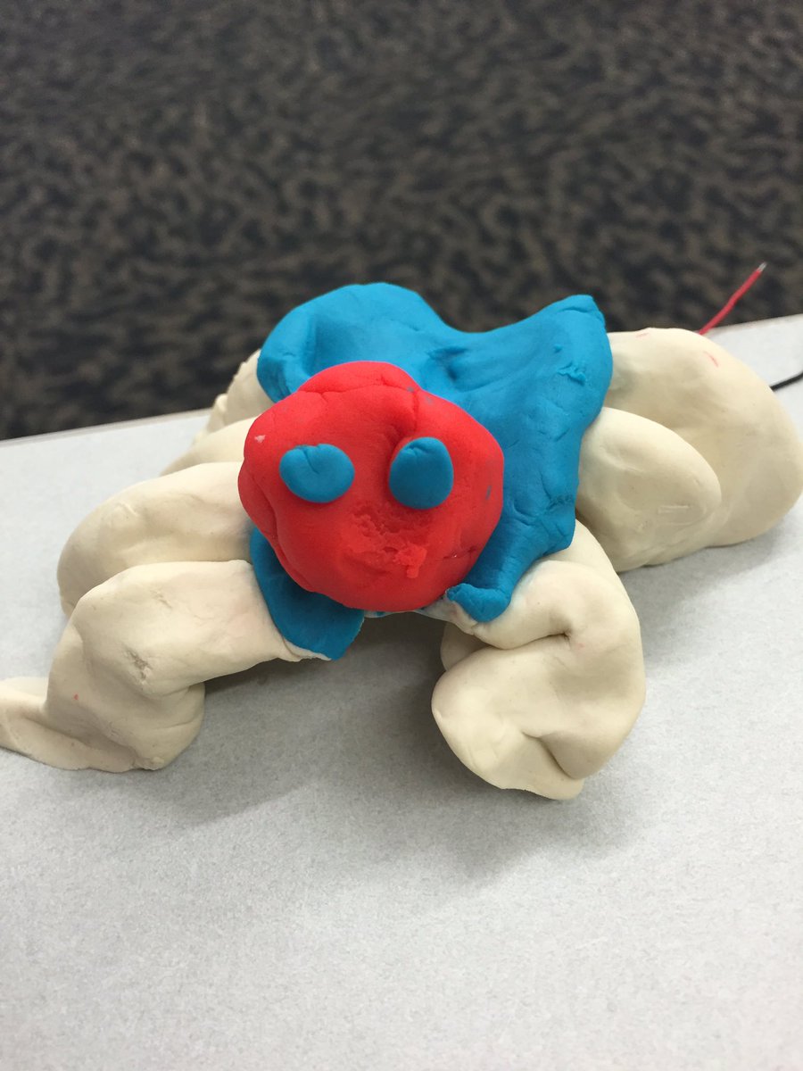 Camp STEM tweet media