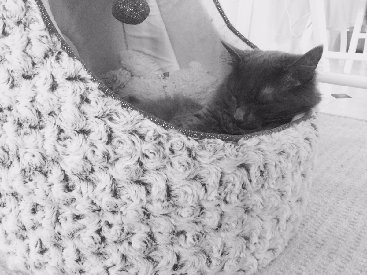 FireflightMerch's tweet photo. @PETERWRlGHT sleeeepy 💤❤️ https://t.co/2XajCorNho