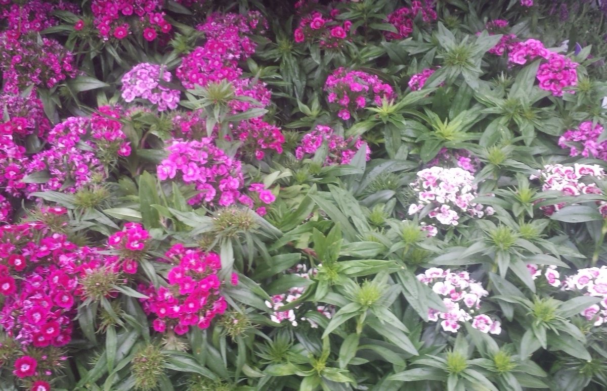 Driving sales with fresh product and new price reductions <a href="/HomeDepot/">The Home Depot</a> 0926 <a href="/ChristineTHD/">Christine Sweeney</a> <a href="/nyyroro/">Ro Rodriguez</a> <a href="/KriistineL/">Kristine Lonergan</a>