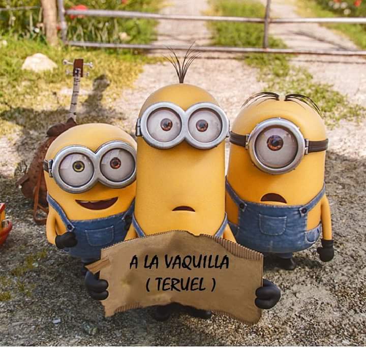 Cada vez queda menos Vaquilleros! 49 días para la locura!! #LosChachos #Vaquillas