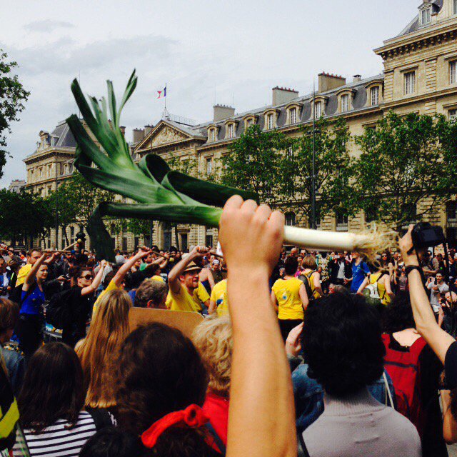 View image on Twitter