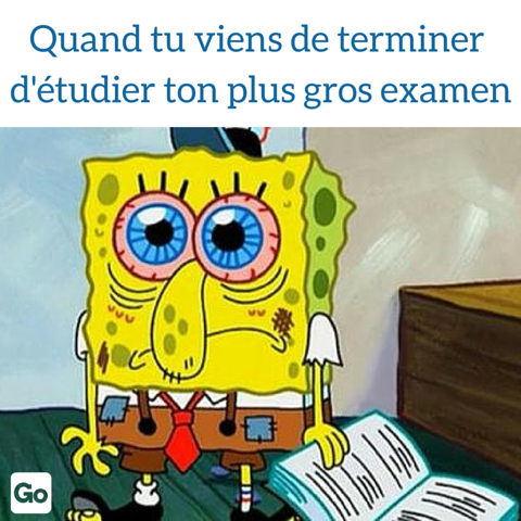 Perso, je suis complètement #HS... Et en plus de ça, j'ai l'impression d'avoir tout oublié, pas toi ? #truestory