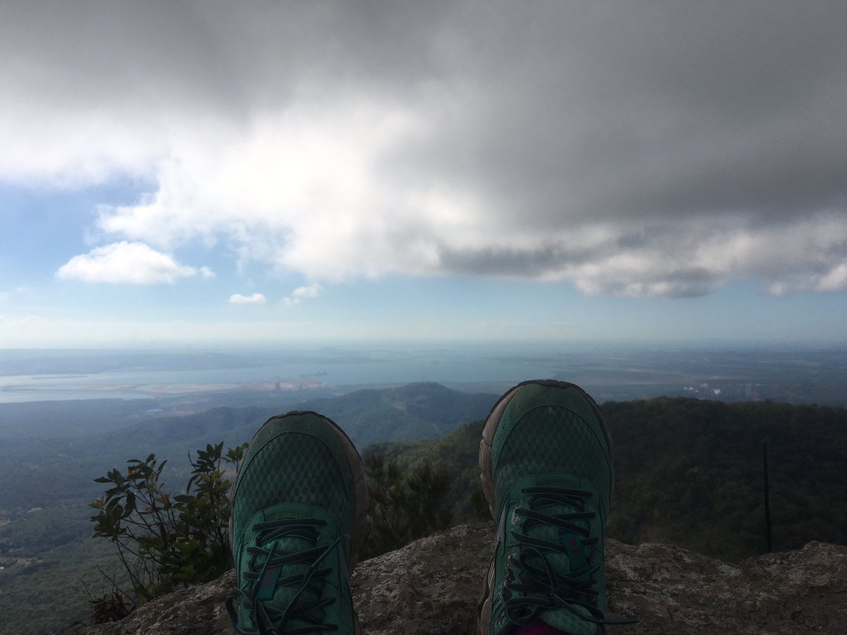 Struan Ferguson tweet media