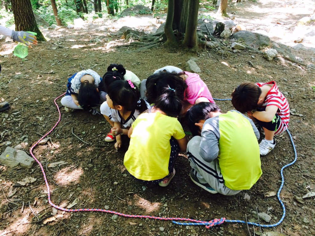 #성남시국공립양지어린이집 우리 아이들과 숲놀이를 다녀왔어요 ~ 예쁜꽃반지와 팔찌도 만들고 에벌레집을 만들어 에벌레가 되어보기도 했답니다 ~ 더운 날씨였지만 숲에서는 항상 행복한 우리 아이들이네요 ^^