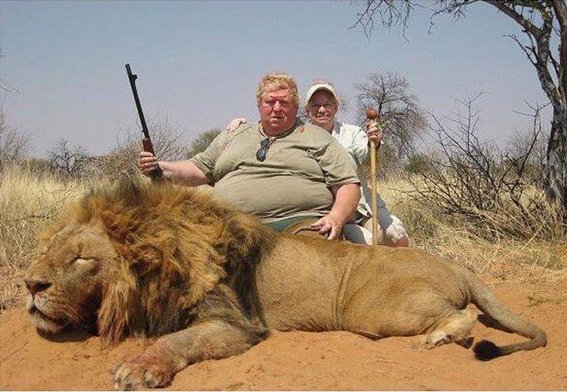 efoulon1's tweet photo. Avant, dans la chaine alimentaire, le lion mangeait le cochon. Mais ça c'était avant... https://t.co/1uQgU5tVza