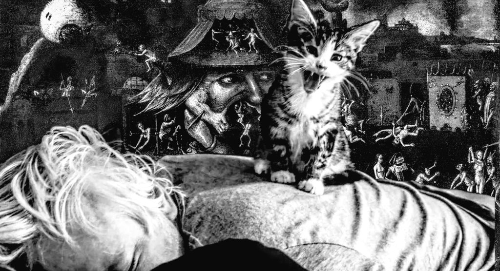 FreeEmbassyCat's tweet photo. In my dreams I've slain the Dark Lord many times. Meow
#EC4Me #FreeAzrael https://t.co/JozfjmmqQs