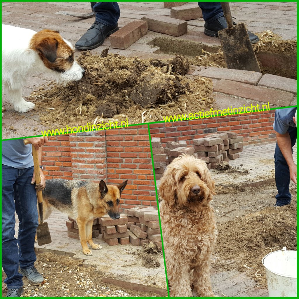 Samen 'zijn' Ieder had z'n eigen taak. Graafhulp, gezelschap bieden &amp; toezicht op afwerking en wij deden de rest ;-)