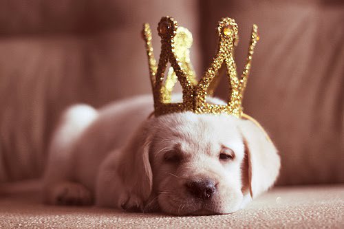 Mahh217's tweet photo. - Bom Dia Meu @TwitterMediaBR  <3 https://t.co/lVznNdFlrp