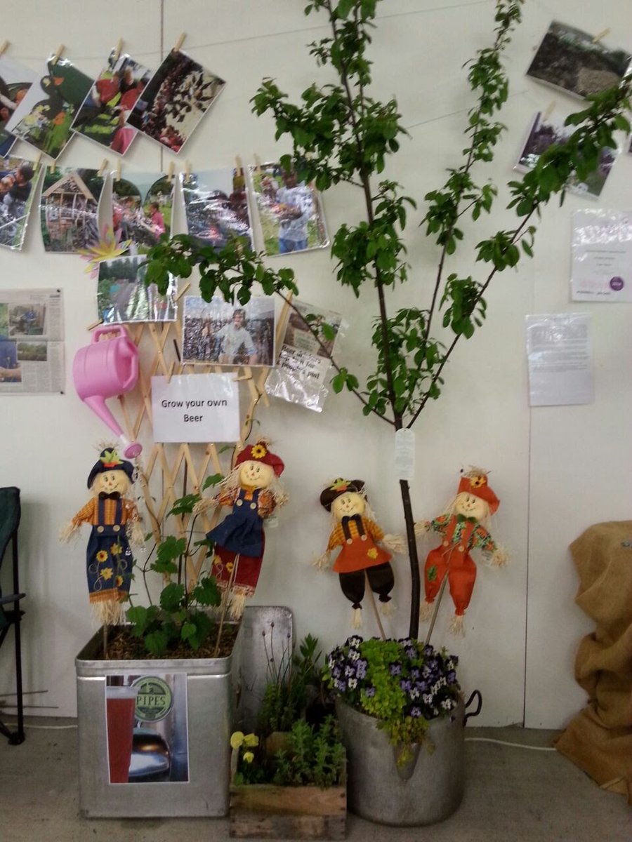 EggSeeds's tweet image. We're @royalwelshshow #springfestival in the Gardening Hall. Lots of things to find out about, come over and say hi!