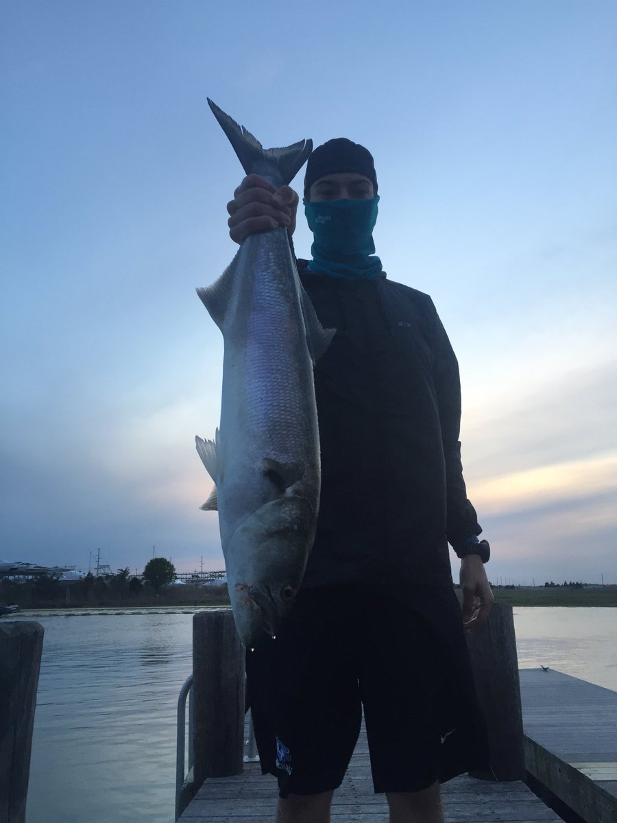 BigboyAmerican's tweet photo. Great day on the water last night. Cought 3 blue fish all over 30 inches. #33in #13lbs @hoo_rag https://t.co/cGwMMd5gKP