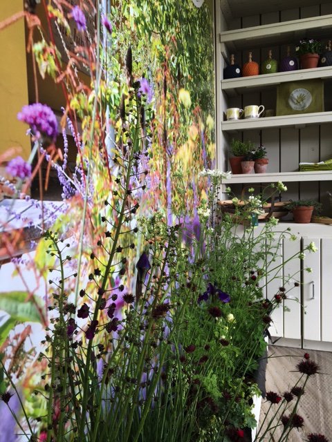 We’re ready for the doors to open at #RHSChelsea. Come and say hello! Eastern Avenue, EA514. #gardensforhealth