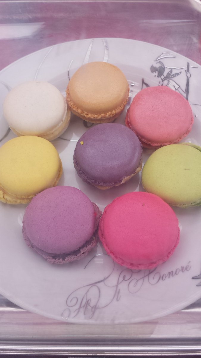 Duchess of Macaron (Duchess_macaron) Twitter