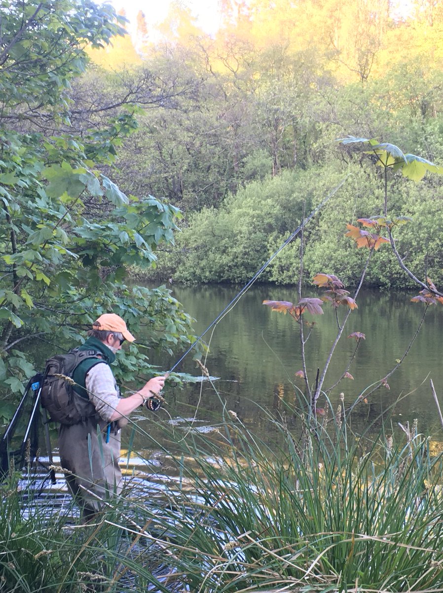 What better way to end a busy week! Lovely sunny evening, song birds singing &amp; brownies rising for the fly!