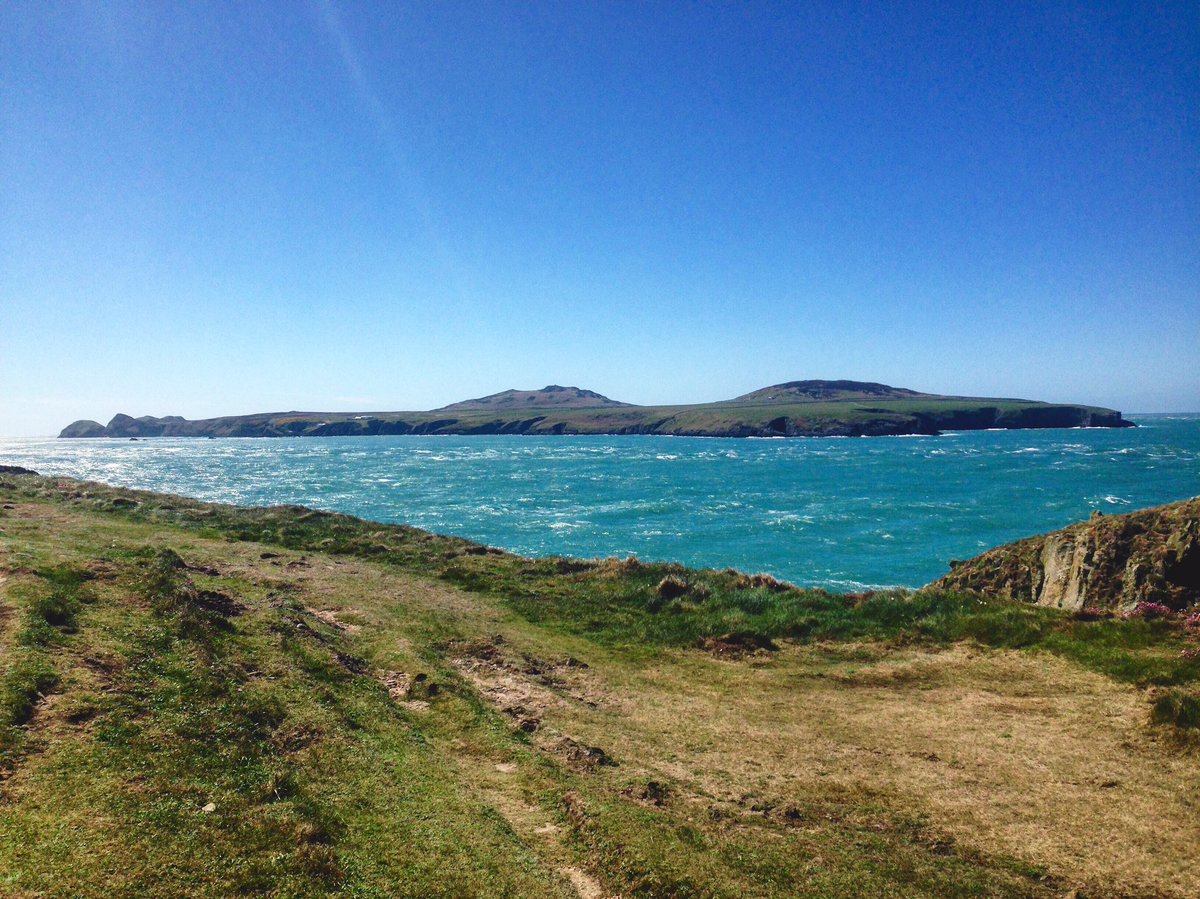 AMFPhotography's tweet image. #ramseyisland from a distance part of my #7daysofnature #pembrokeshire #stdavids #coastalpath