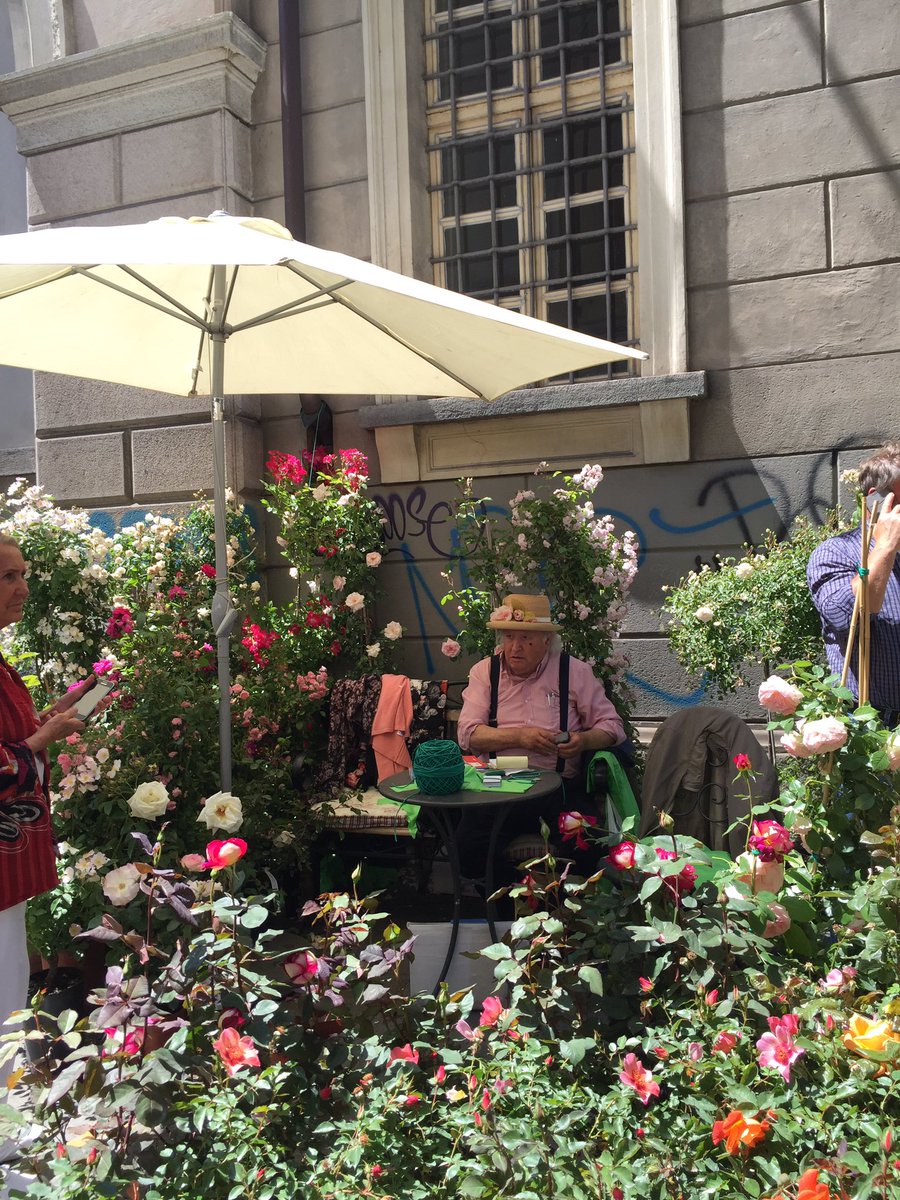 GabriellaLupia's tweet photo. #twitorino #Torino come la riviera dei #flor2016 https://t.co/NB7vWKXIwi