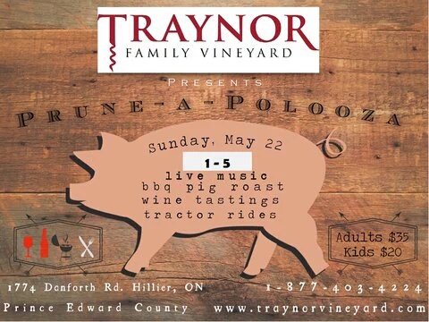 TraynorVineyard's tweet image. We are open DAILY from 11 - 5. Pop in over weekend and be sure to come to PRUNE-A-POLOOZA tomorrow for some fun!