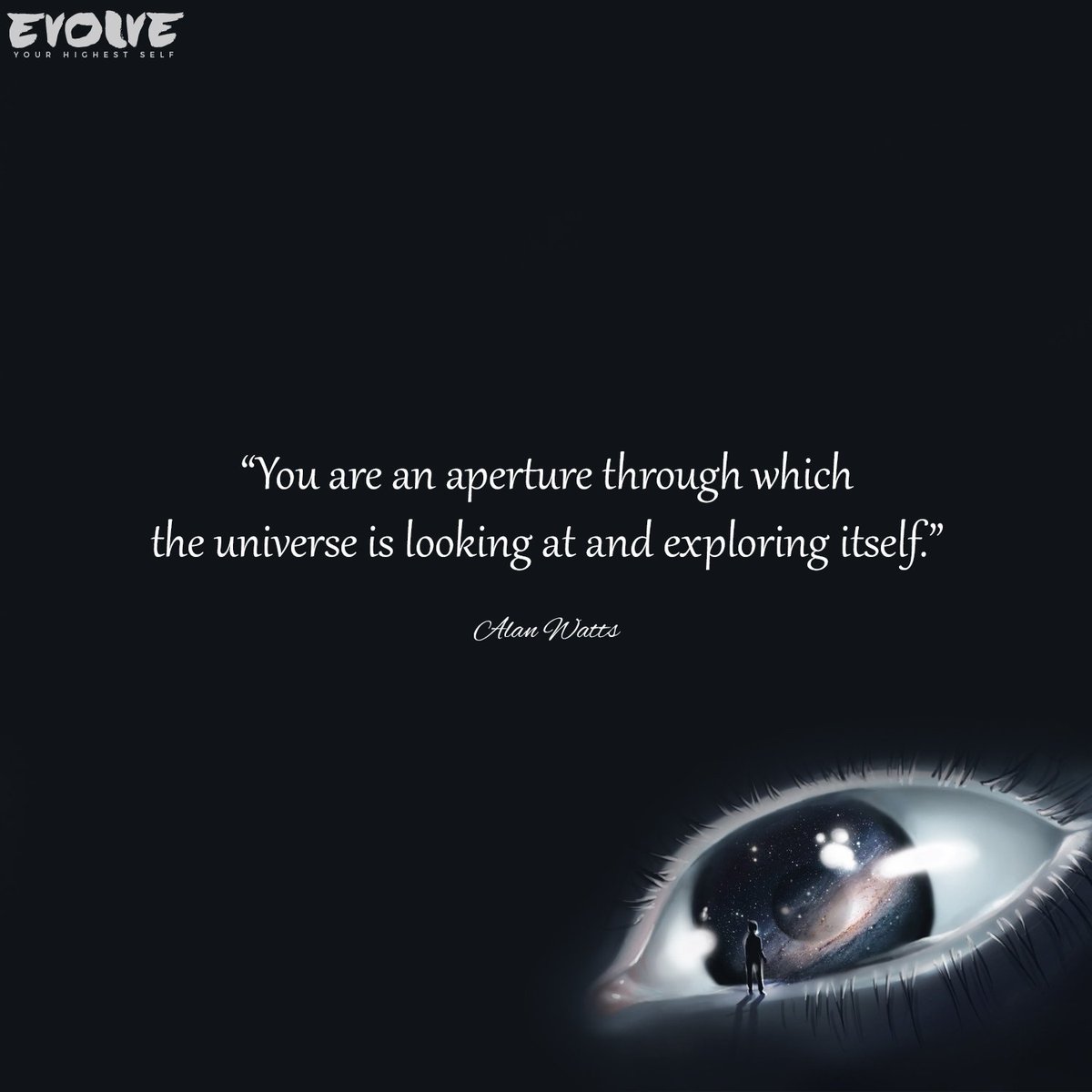 evolveswap818's tweet image. 