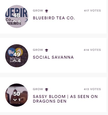 ChatPlayShare's tweet photo. I'm sorry @sassy_bloom... @bluebirdteaco I'm coming for you! #ImSoConflicted #TheyHaveAGreatPitch #VOOM #VOOM2016 https://t.co/pJ4Hxgk9xF