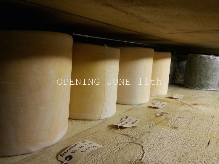 We’re bringing fresh produce to Putney High St every week from Saturday 11th June. <a href="/boroughcheeseco/">Borough Cheese Co.</a> will be there