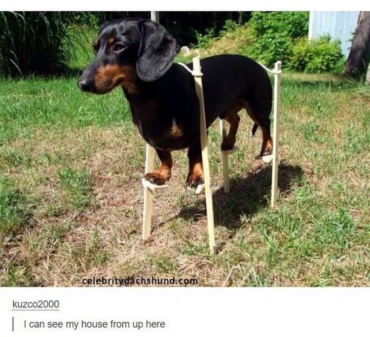 ClappingWalrus's tweet image. 