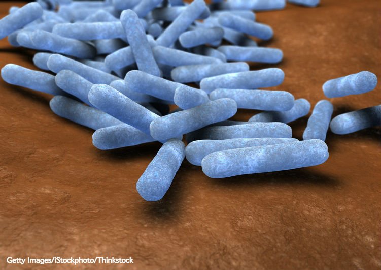 sciam's tweet photo. Alliance of bacterial strains disables antibiotics https://t.co/d3A1AkjCpX [Podcast] By @cintagliata https://t.co/JM83pKNj69