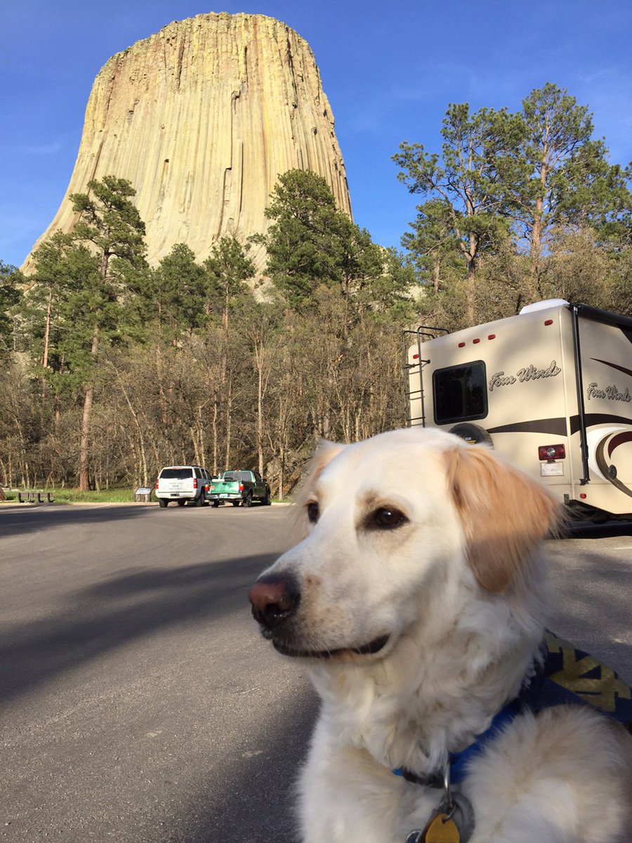 khiddy's tweet photo. Phil is on his way to South Bend! #NDPet https://t.co/yARcavBxuG