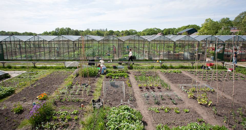 En jawel het wordt ook nog eens 23 graden tijdens ons OverVers feestje as zaterdag bij @KoningshofU. Komen dus!!